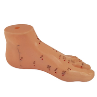 Product Μοντέλο Βελονισμού Πέλματος 15cm (Foot Acupuncture model) base image