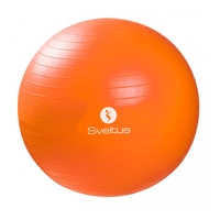 Product Μπάλα γυμναστικής 55εκ Gymball base image