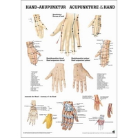 Product  Αφίσα Βελονισμού Χέρι (Poster Hand Acupuncture) base image
