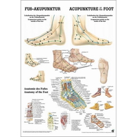 Product  Αφίσα Βελονισμού Πόδι (Poster Foot Acupuncture) base image